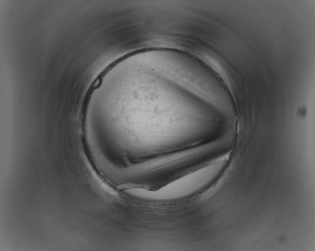 X0000092311141200710121453