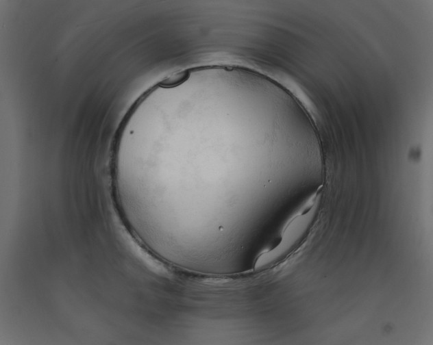 X0000092311142200710121453