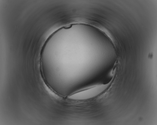X0000092311143200710121453