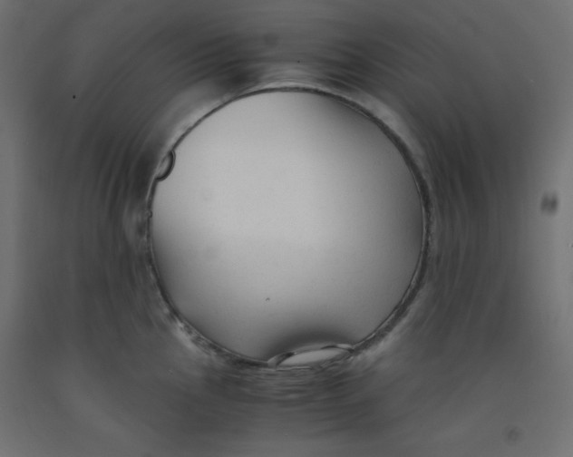 X0000092311145200710121453