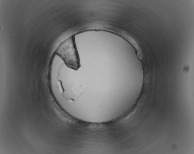 X0000092311146200710121453