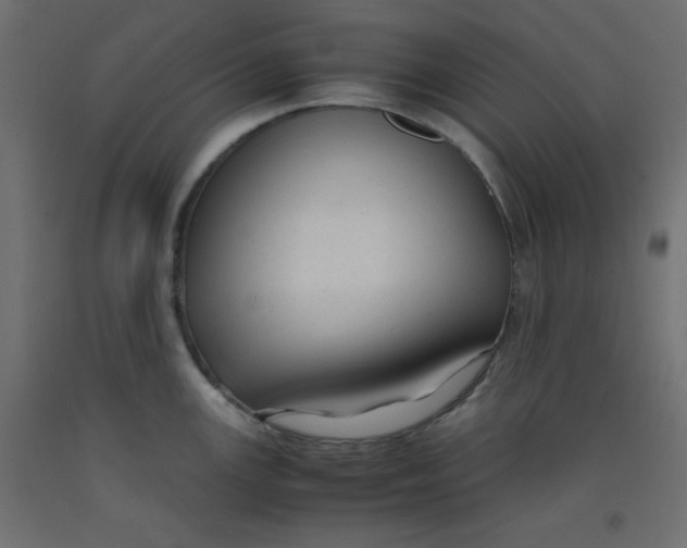 X0000092311147200710121453