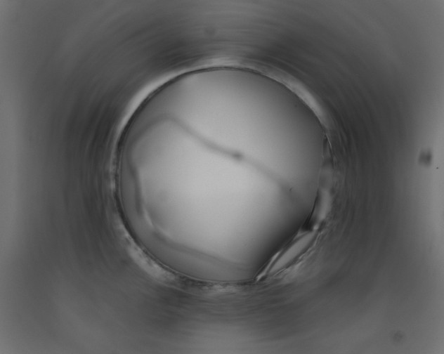 X0000092311148200710121453