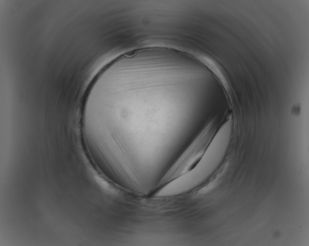 X0000092311149200710121453
