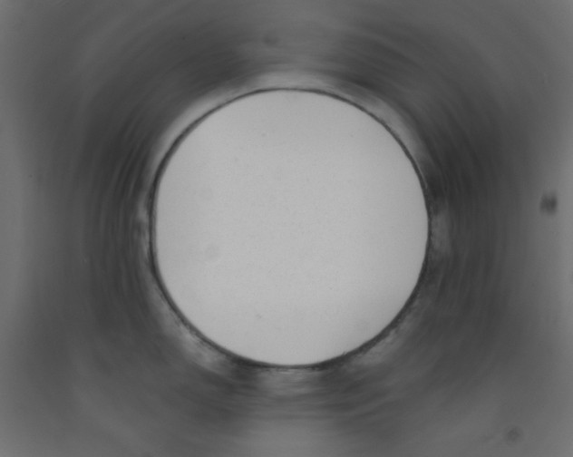 X0000092311150200710121453