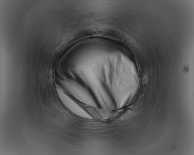 X0000092311156200710121452