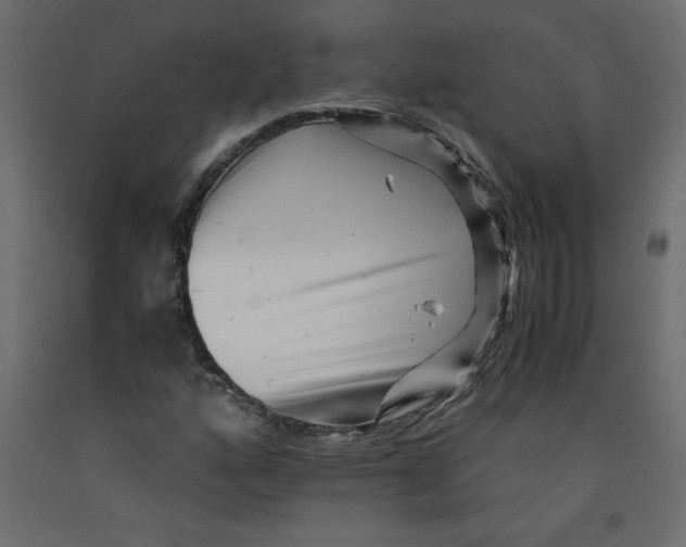 X0000092311160200710121452