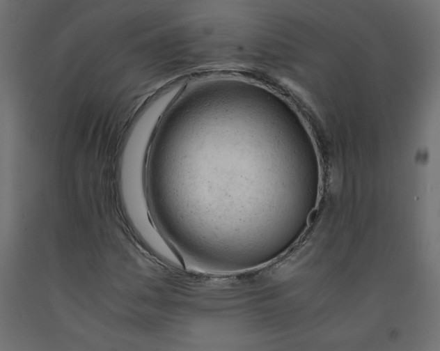 X0000092311161200710121452