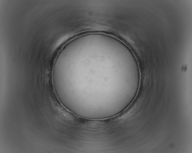 X0000092311163200710121452