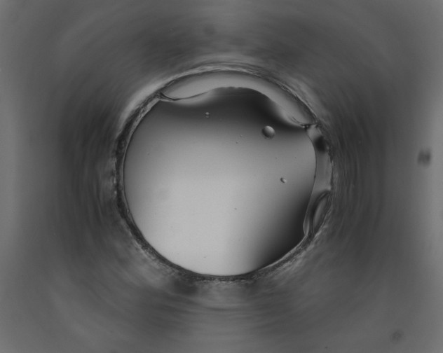 X0000092311164200710121452