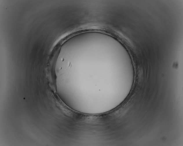 X0000092311166200710121452