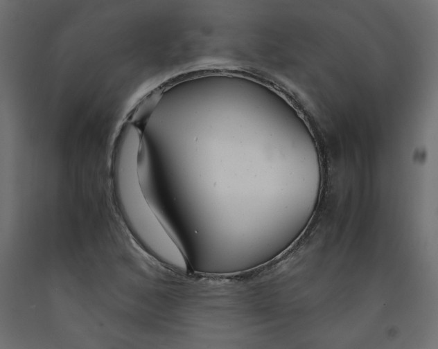 X0000092311168200710121452