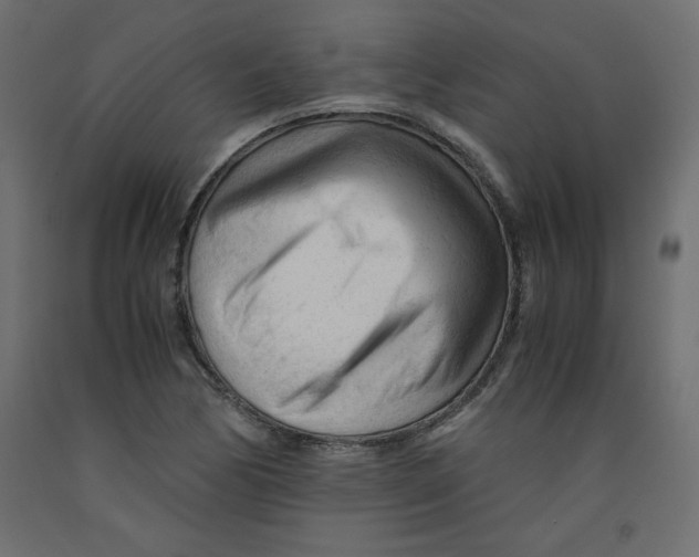 X0000092311170200710121452