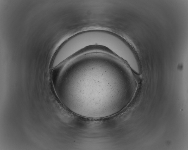 X0000092311173200710121452