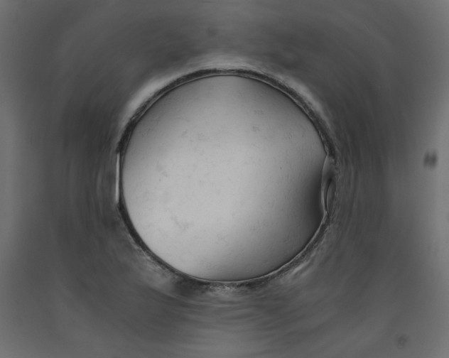 X0000092311175200710121452