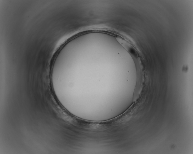 X0000092311176200710121452