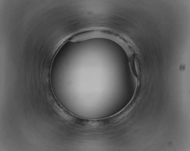 X0000092311177200710121452