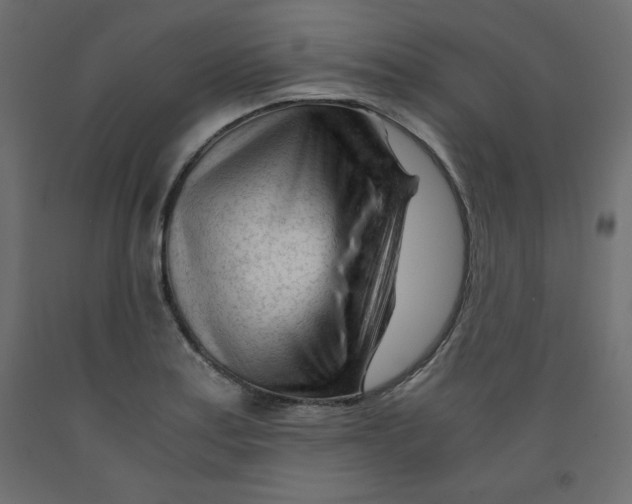 X0000092311179200710121452