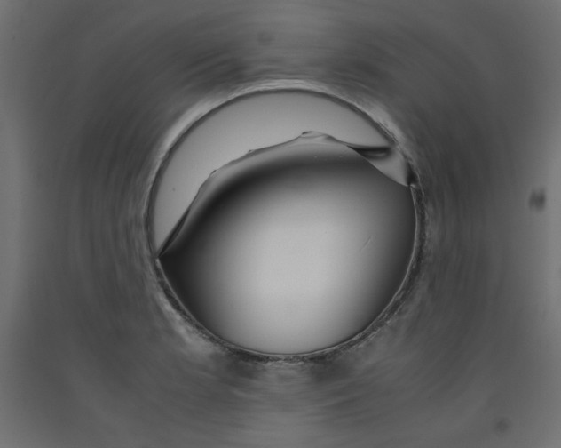 X0000092311181200710121452