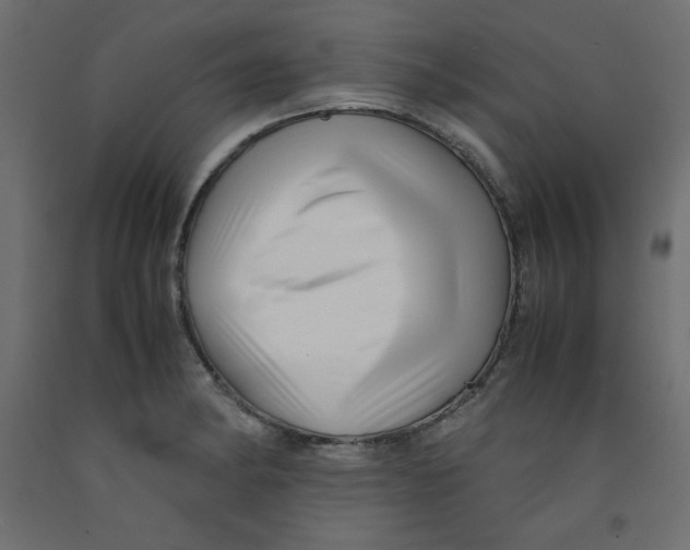 X0000092311182200710121452