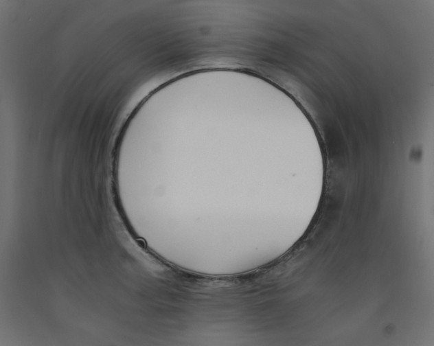 X0000092311187200710121452