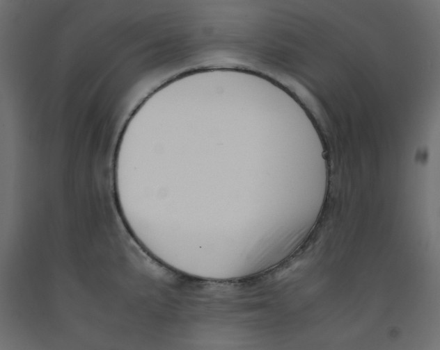 X0000092311191200710121452