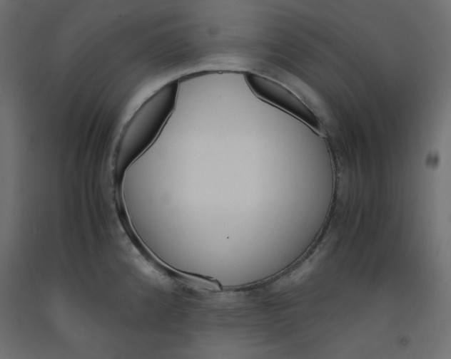 X0000092311192200710121452