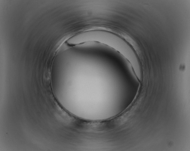 X0000092311193200710121452