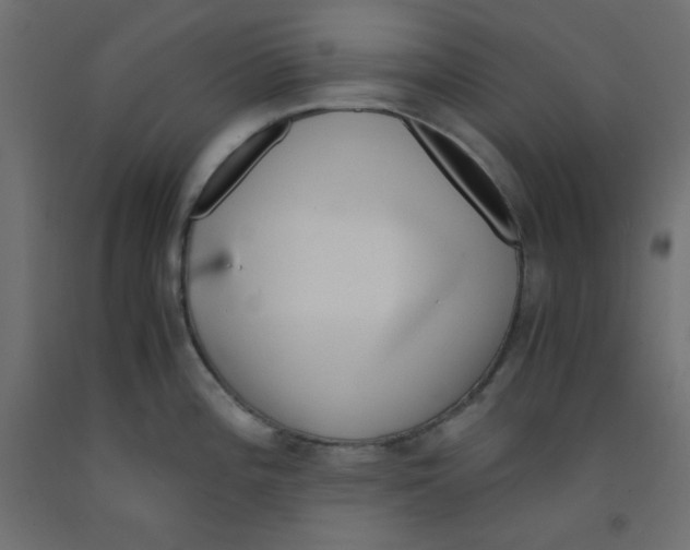 X0000092311196200710121452