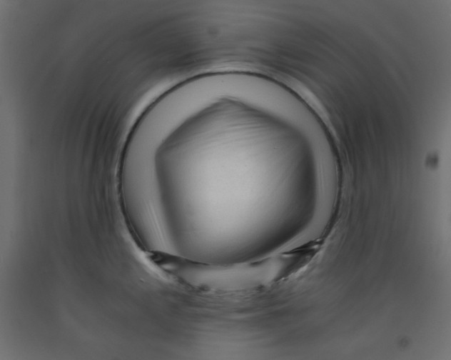 X0000092311197200710121452