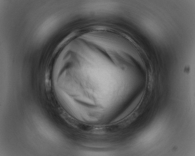 X0000092311198200710121452