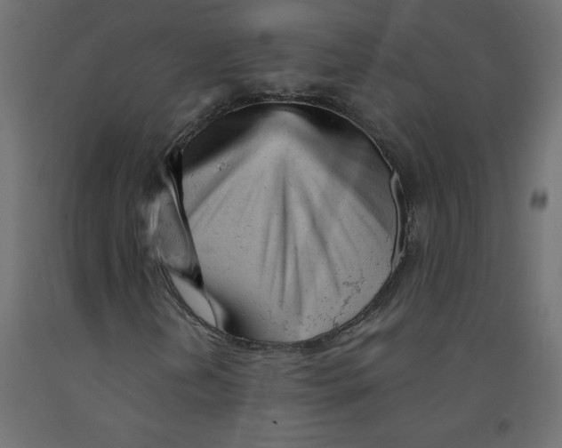 X0000092311202200710121451