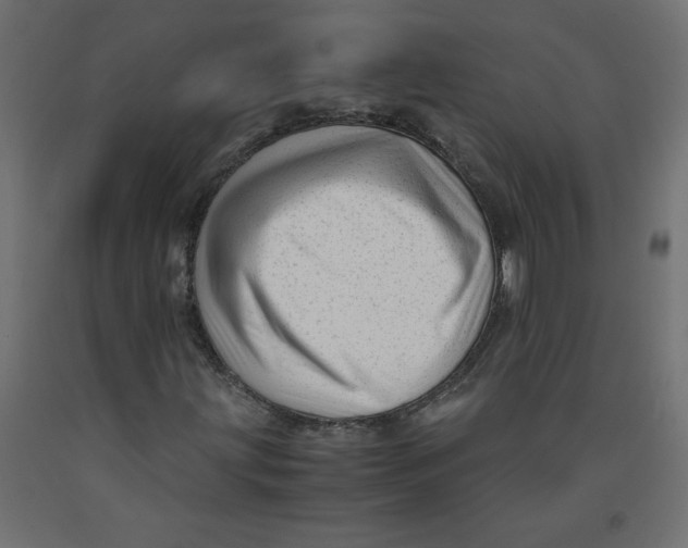 X0000092311203200710121451