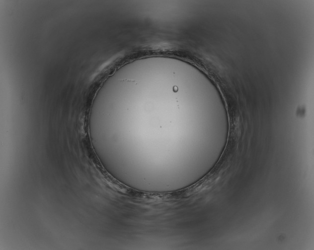 X0000092311205200710121451