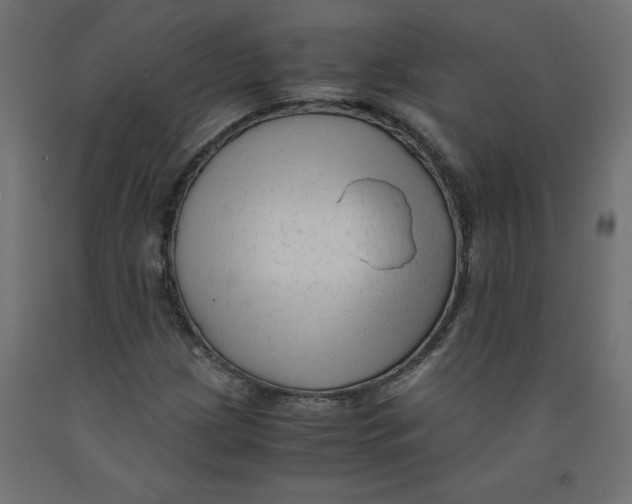 X0000092311209200710121451
