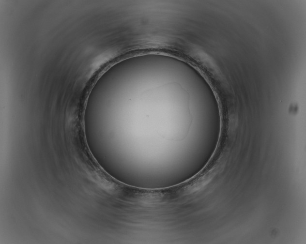 X0000092311210200710121451