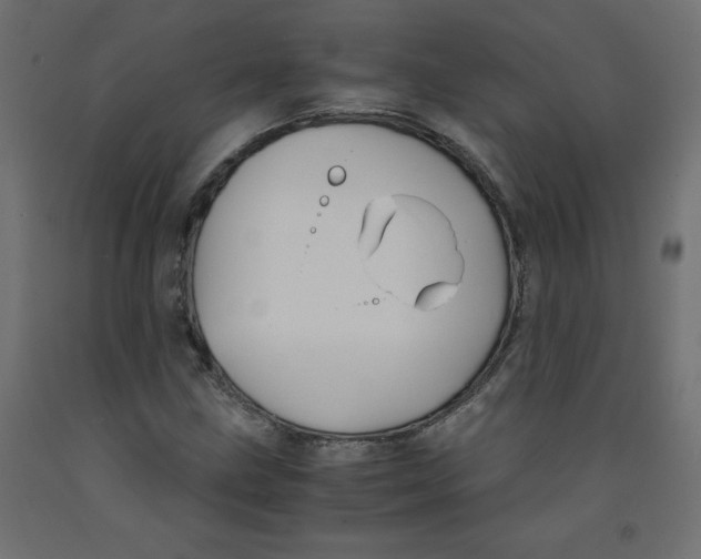 X0000092311211200710121451