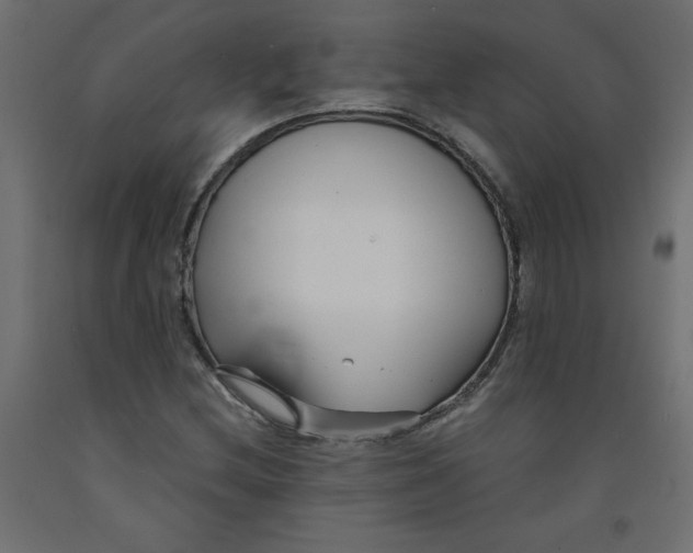 X0000092311212200710121451