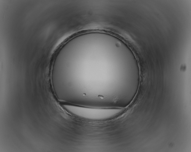 X0000092311216200710121451