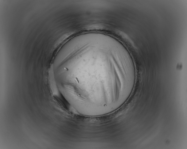 X0000092311217200710121451
