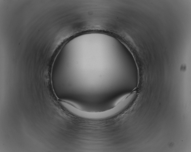 X0000092311218200710121451