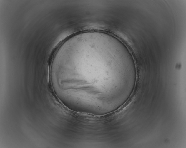 X0000092311219200710121451