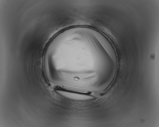 X0000092311220200710121451
