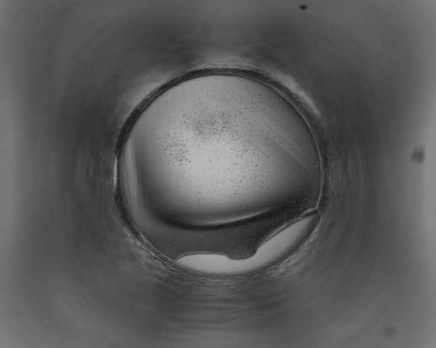 X0000092311221200710121451