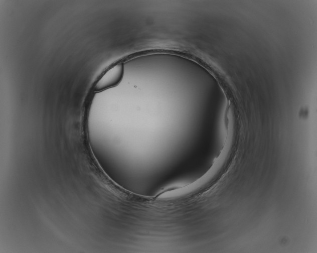 X0000092311222200710121451