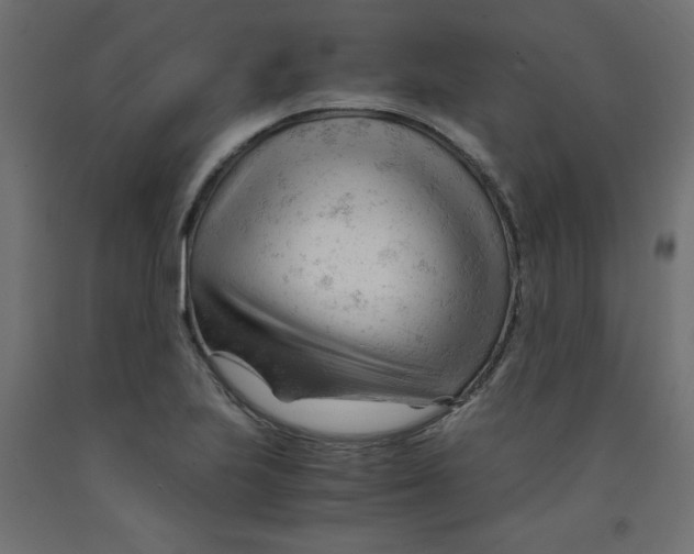 X0000092311223200710121451