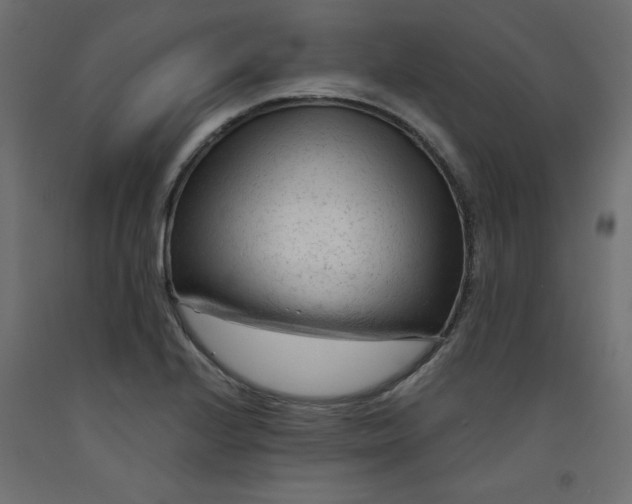 X0000092311224200710121451