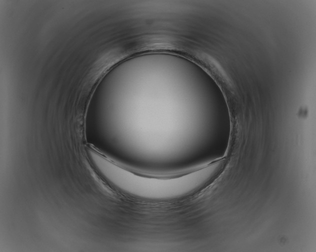 X0000092311225200710121451