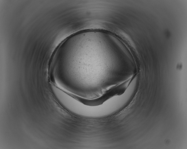 X0000092311226200710121451