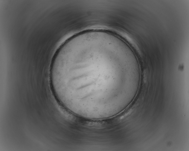 X0000092311229200710121452